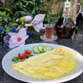Qayğanaq holland pendiri ilə