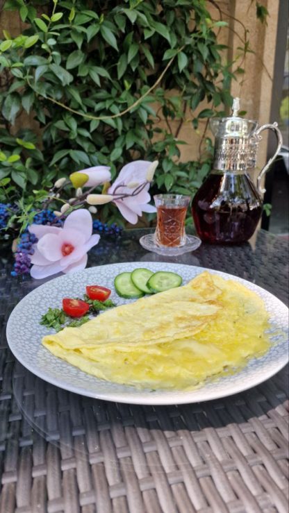 Qayğanaq holland pendiri ilə
